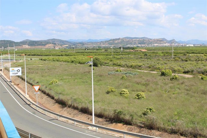 Archivo - Par Sagunt