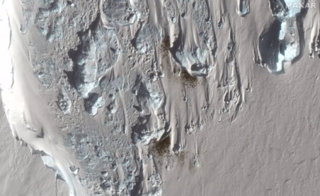 Las imágenes aéreas del satélite Maxar WorldView-3 muestran la colonia de pingüinos emperador recién descubierta en Verleger Point.