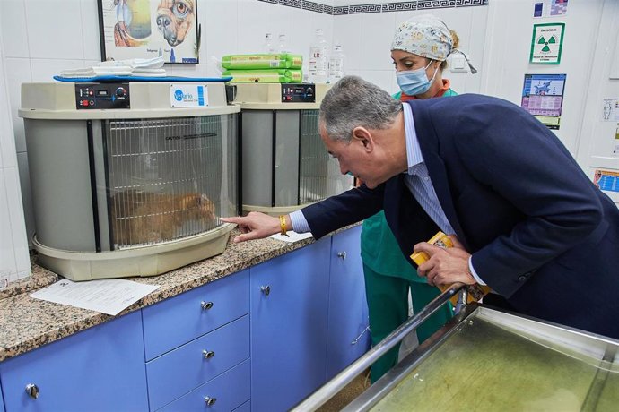 El candidato del Partido Popular a la Alcaldía de Sevilla, José Luis Sanz, en una protectora de animales.