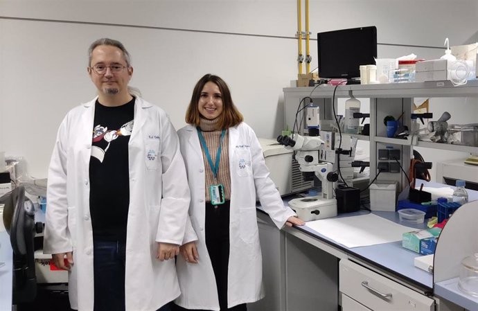 Los autores principales del grupo de investigación de la UGR que han realizado este trabajo, en el Centro de Investigación Biomédica (CIBM) de la UGR. De izquierda a derecha, Enrique J. Cobos del Moral y Mari Carmen Ruiz Cantero.