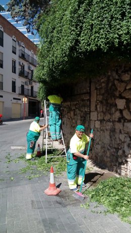 Archivo - Operarios del Centro Especial de Empleo Jardines y Naturaleza/Archivo