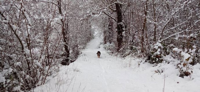 Archivo - Monte nevado