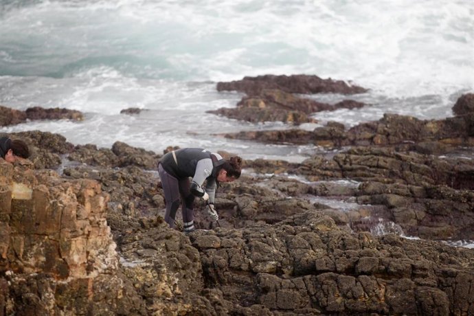 Una percebeira de Rinlo, de la Cofradía de Pescadores de Ribadeo, recoge percebes para la campaña navideña entre las rocas, a 21 de diciembre de 2022, en la parroquia de Rinlo, Ribadeo, Lugo, Galicia (España). Según las estadísticas oficiales de Pesca d