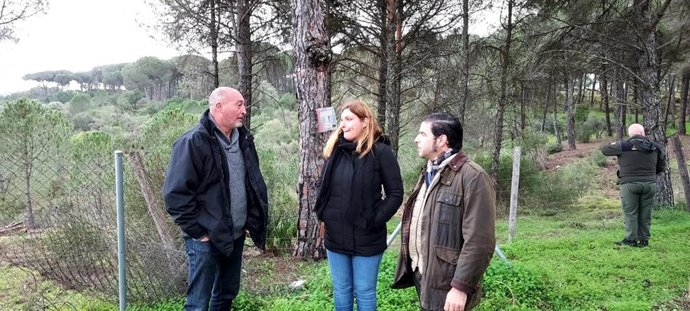 El delegado de Sostenibilidad, Medio Ambiente y Economía Azul de la Junta en Huelva, Pedro Yórquez, ha visitado el Monte El Saltillo, en Valverde del Camino (Huelva).