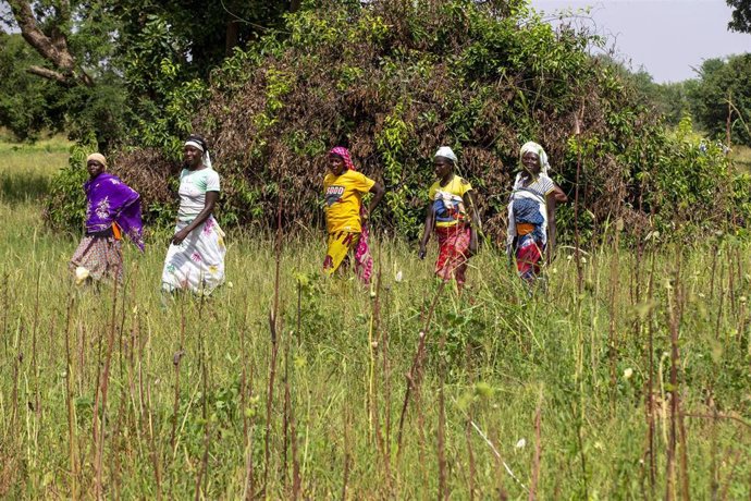 Varias mujeres en un campo en Ouahigouya, Burkina Faso