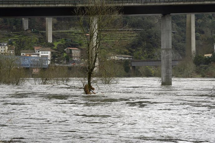 El río Miño a su paso por Os Peares, a 20 de enero de 2023, en Os Peares, A Peroxa, Ourense, Galicia.