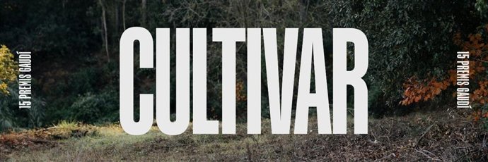 Logo de la gala de entrega de los Premis Gaudí de la Acadmia del Cinema Catal