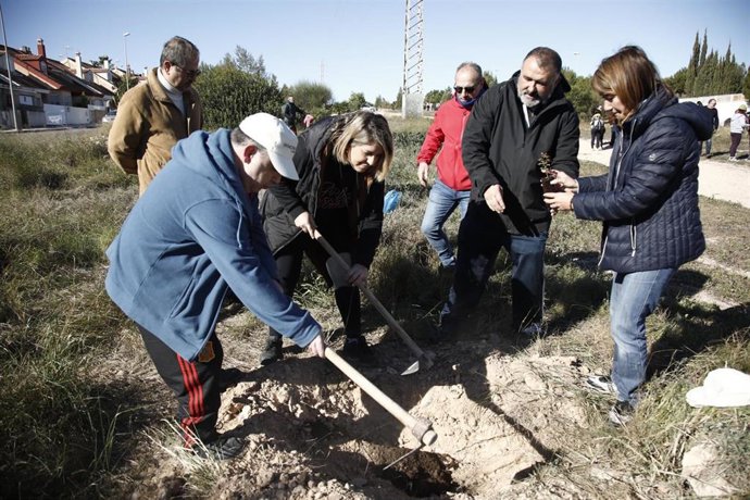 La Vaguada se hace más verde con la plantación de 200 árboles en la avenida del Descubrimiento de América