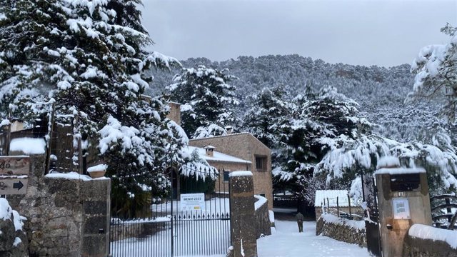 Nieve en el Centre Forestal (CEFOR) en Menut. Escorca, en una imagen de Xarxa Forestal.