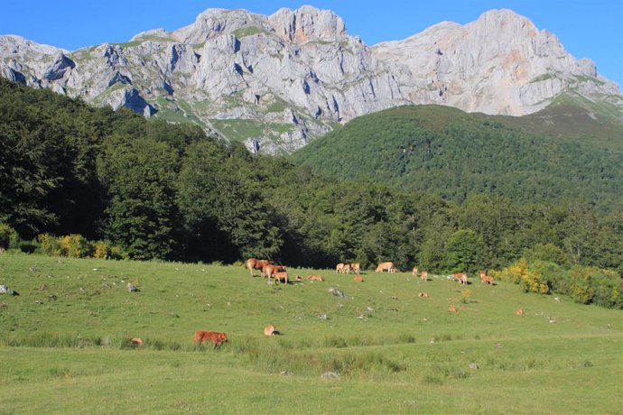 Archivo - Zona rural de Cantabria
