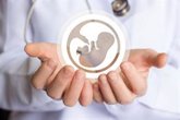 Foto: Un estudio muestra que los embriones y el útero trabajan en equipo para el éxito de la reproducción asistida