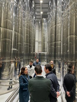 Extracción de muestras de aceite de oliva.