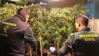 Operación antidroga de "alto impacto" en Granada con 13 centros de producción de marihuana desarticulados