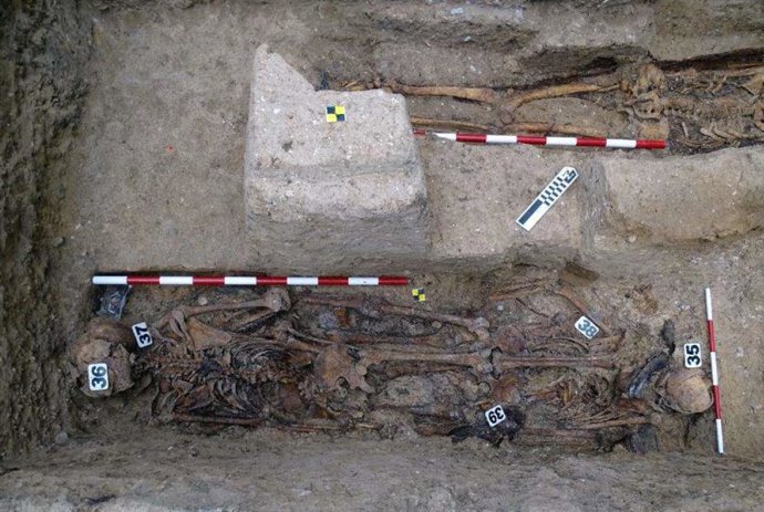 Restos encontrados en la fosa del cementerio de Villamartín (Cádiz)