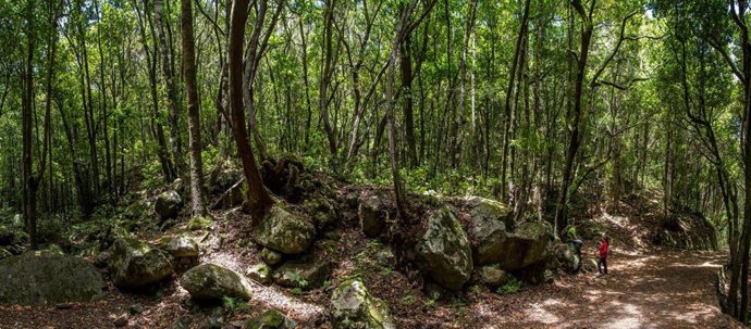 Archivo - Geólogos proponen visitar las 20 "maravillas naturales más asombrosas" de España, de las que dos son canarias