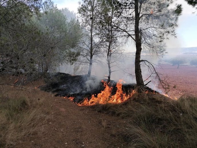 Conato de incendio en en paraje de Los Algezares, en el término municipal de Yecla