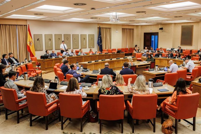 Archivo - Vista general de una Diputación Permanente, en el Congreso de los Diputados