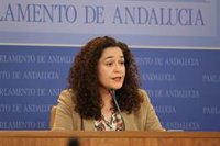 Por Andalucía critica que el PP plantea cíclicamente dejar gobernar a la lista más votada por "cálculo electoral"