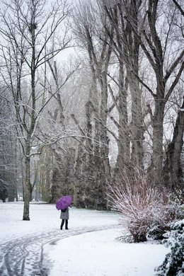 Un parque nevado en Vitoria-Gasteiz