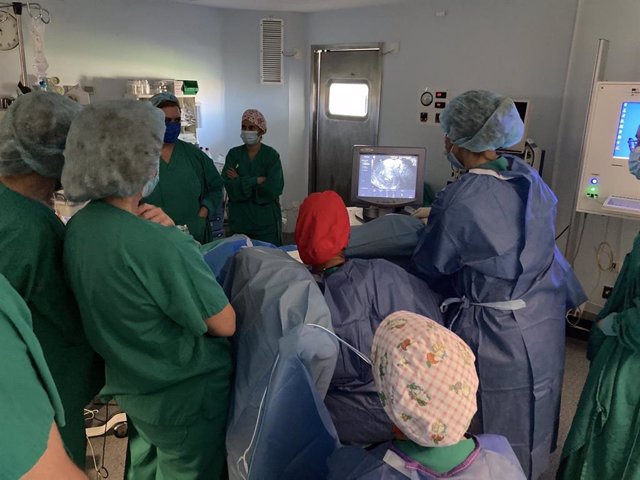El equipo de profesionales del servicio de Ginecología realiza y supervisa la primera intervención de este tipo en uno de los quirófanos del Hospital del Rosell