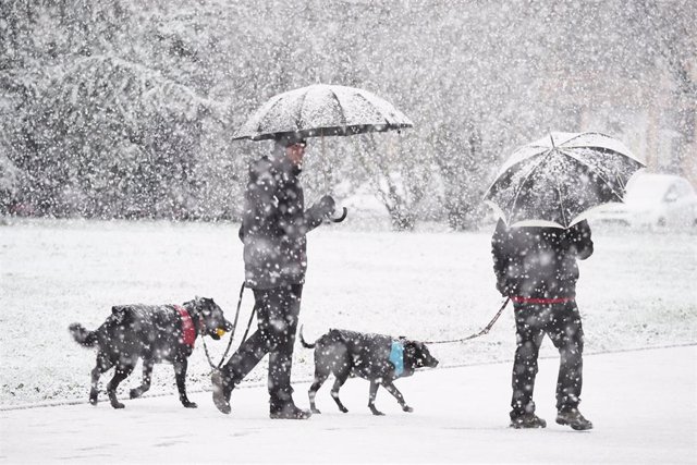 Dos personas y sus perros caminan bajo la nieve, a 18 de enero de 2023, en Pamplona, Navarra (España). El fuerte temporal asociado a las borrascas Gérard y Fien ha hecho que Navarra amanezca hoy con abundantes precipitaciones de nieve en la zona norte y l