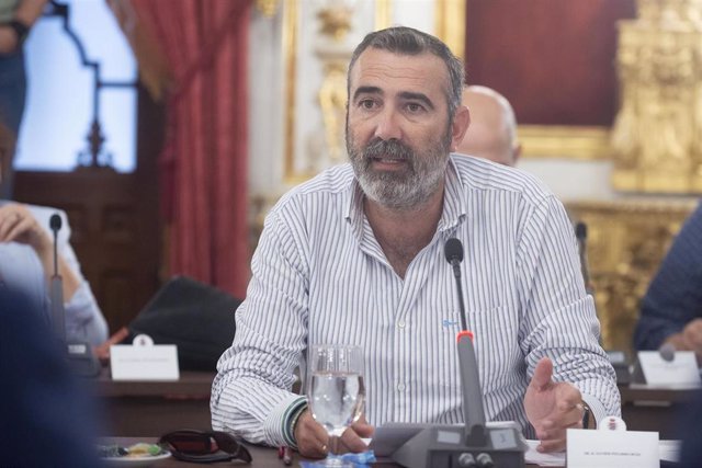 Archivo - El vicepresidente cuarto de la Diputación de Cádiz, Javier Pizarro, en una intervención en el pleno provincial
