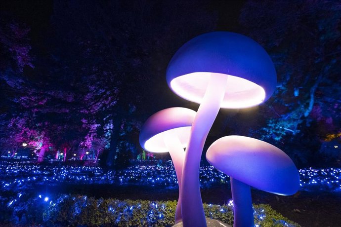 Vista de la exposción 'Origen' en el Jardín Botánico.