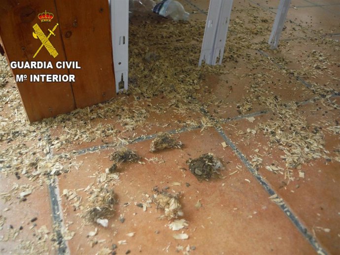 Estado en el que los agentes del Seprona encontraron la tienda de animales situada en la zona norte de la isla de Tenerife, donde varios conejos y hámster fallecieron de inanición