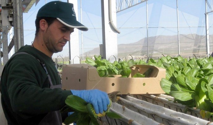 Actividad agrícola y ayudas europeas