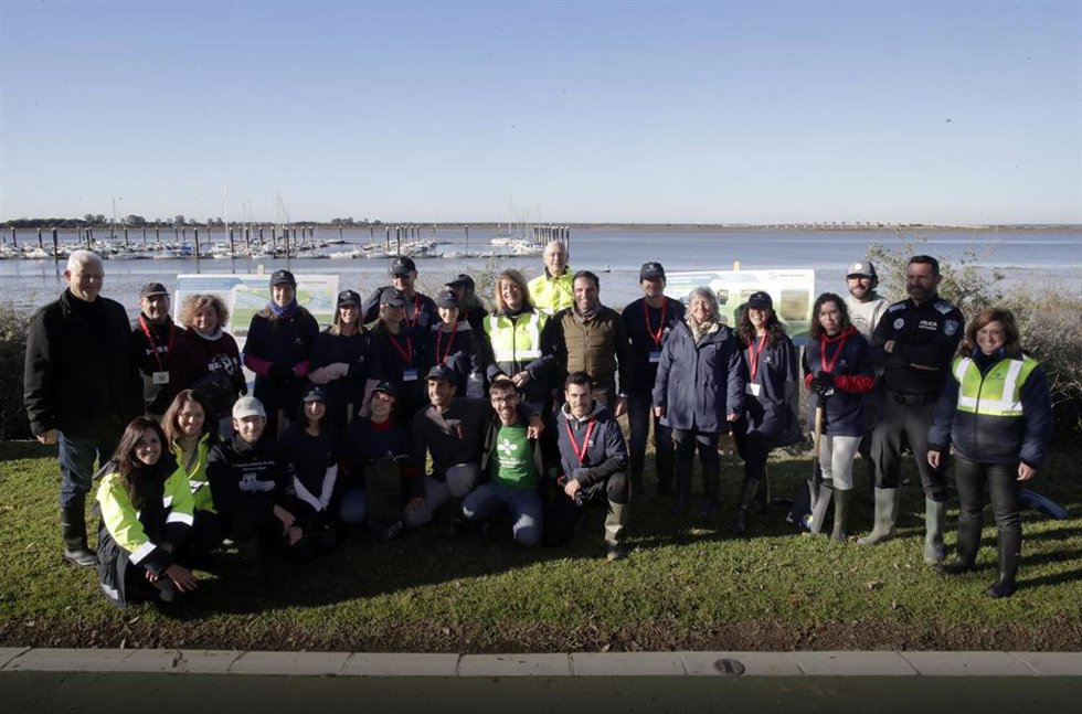 Imagen de la jornada de restauración en la marisma de la ría del Odiel en Huelva.