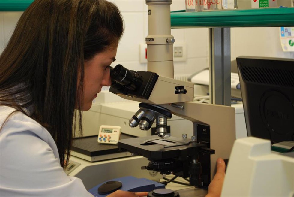 Archivo - Investigadora 