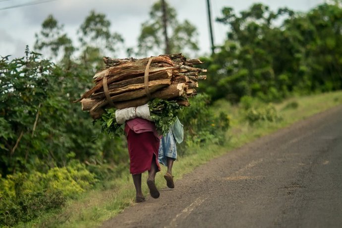Leña para cocinar transportada a casa en Kenia.