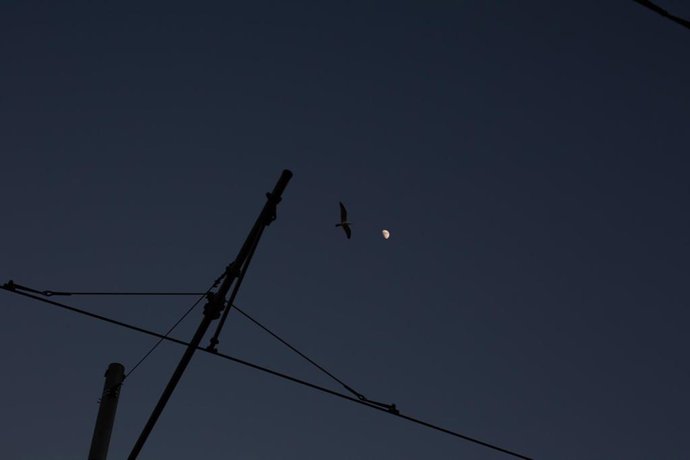 Archivo - Imagen de archivo de una grúa para la construcción de vivienda