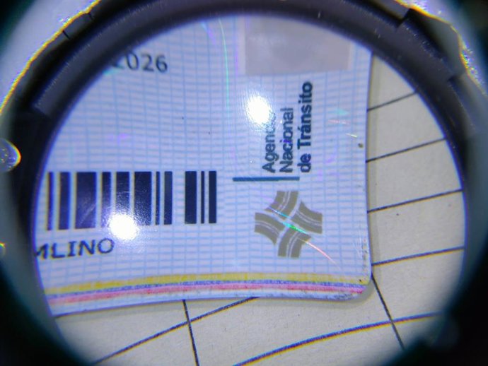 Permiso de conducir falso intervenido por la Policía Local en Ibiza.