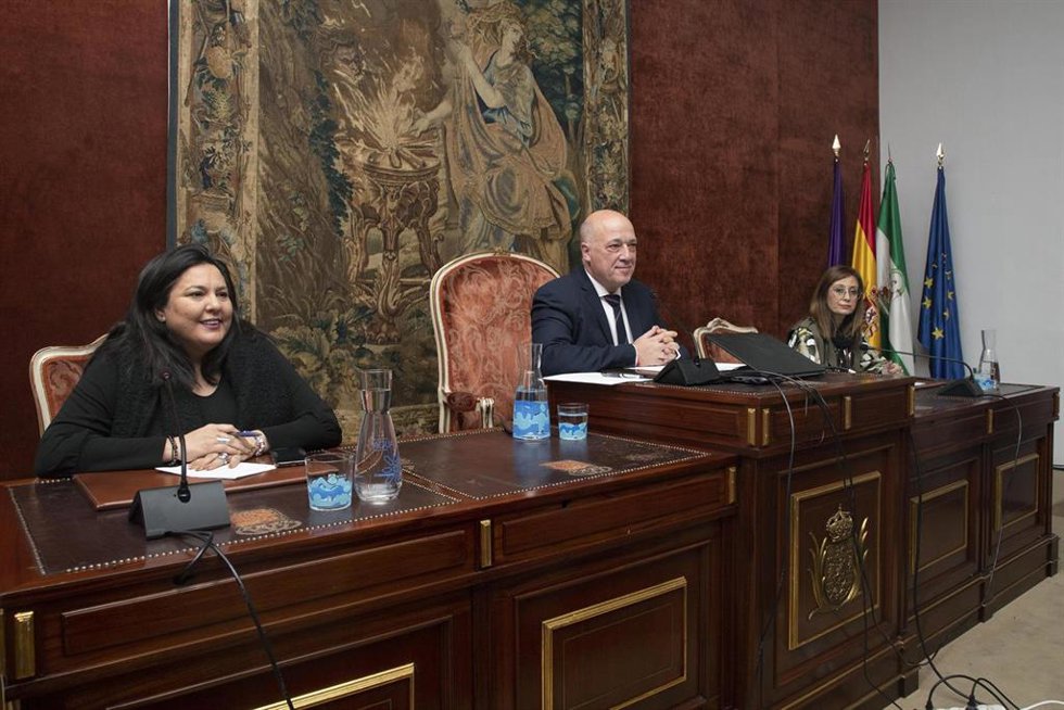 El presidente de la Diputación de Córdoba, Antonio Ruiz, durante el Pleno del mes de enero.