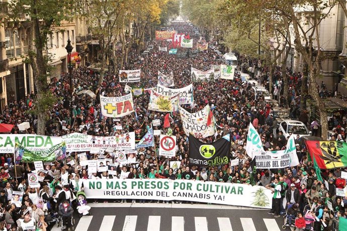 Archivo -     Miles de personas marchan en varias ciudades de Argentina para demandar la regulación del cannabis medicinal como parte de la Marcha Mundial de la Marihuana 2016  (ARCHIVO)
