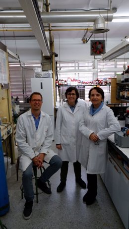 Equipo de investigadores de la Universidad de Sevilla que han diseñado nanocápsulas solubles y 'a la carta' para facilitar la absorción de fármacos.