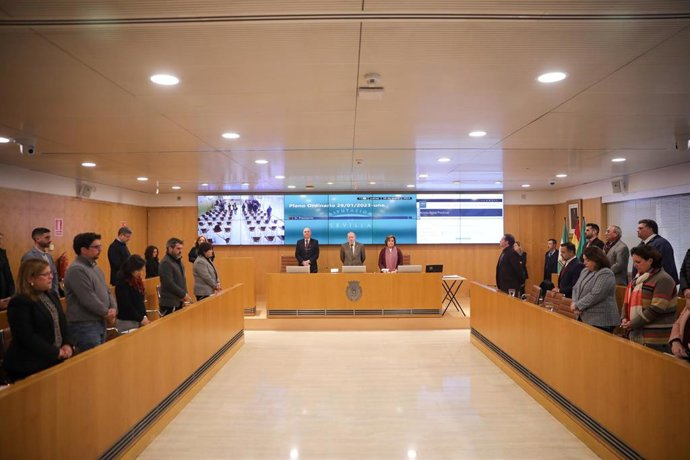 Minuto de silencio en el pleno de la Diputación de Sevilla