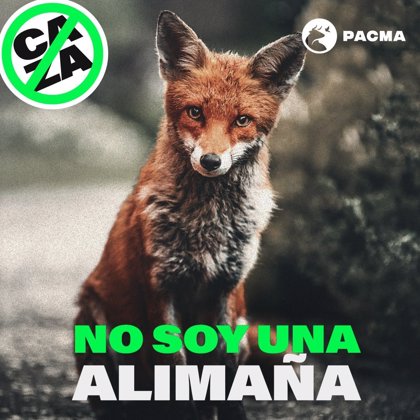 PACMA lanza una campaña contra la caza del zorro en la que compara los  cazadores con 