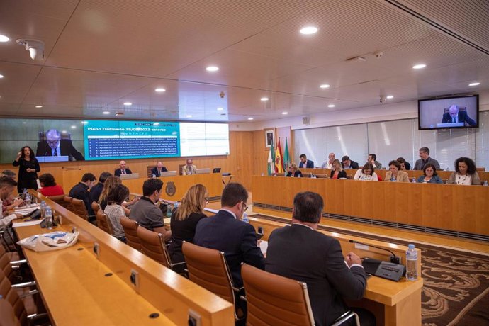 Archivo - Pleno de la Diputación de Sevilla