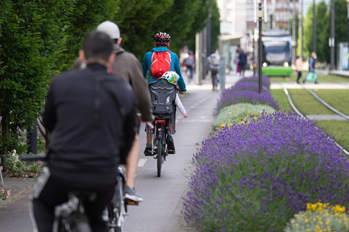 Archivo - Varias personas montan en bicicleta en Vitoria-Gasteiz