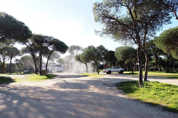 Pinares de Palos de la Frontera.