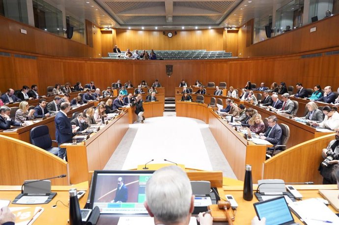 Sesión plenaria de las Cortes de Aragón.