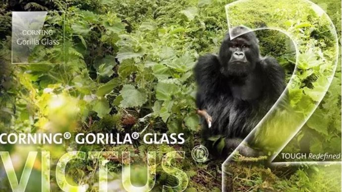 Gorilla Glass Victus 2