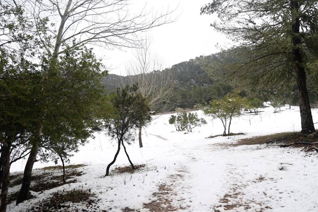 Restos de nieve en en la Serra de Tramuntana, a 23 de enero de 2023, en Mallorca, Islas Baleares (España). 
