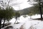 Activada la alerta roja por bajas temperaturas en Mallorca a partir de la cota de 600 metros y naranja por nevadas