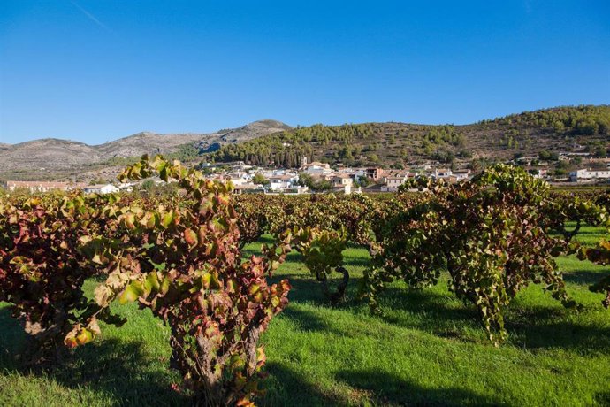 Turisme distribuirá 40 millones de fondos europeos en 2023 de los Planes de Sostenibilidad Turística en Destino