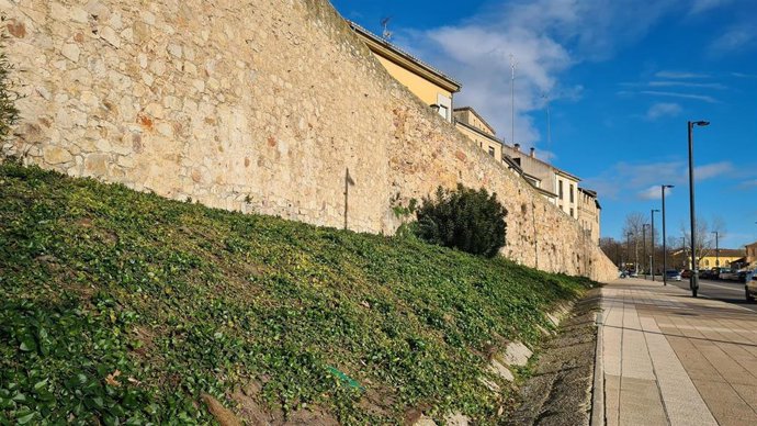 27 De Enero De 2023. Notas De Prensa Ayuntamiento De Salamanca