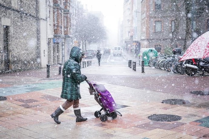 Una mujer con un carro de la compra por una calle de Vitoria-Gasteiz mientras nieva, a 18 de enero de 2023, en Vitoria-Gasteiz