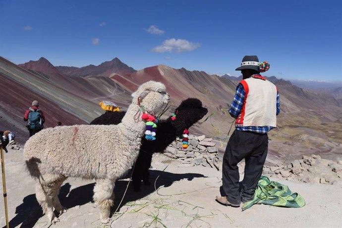 September 16, 2019, Un lugareño es visto con su alpaca a lo largo de la montaña Siete Colores.